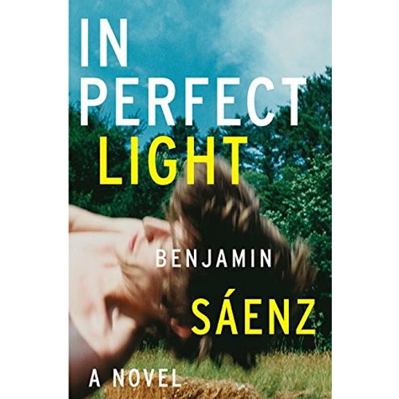 Pre-Owned In Perfect Light (Hardcover) 0060779209 9780060779207