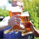 thumbnail image 4 of Quality Glass Boot Mug for Oktoberfest Celebrations 2 Liter 2025, 4 of 5