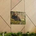 thumbnail image 6 of Majestic Brown Bear Art Majestic Brown Bear Print Animal Wall Art Wildlife Canvas Prints Wall Art Ready to Hang Unframed, 6 of 18