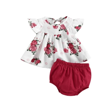 

allshope Baby Girls Summer Outfit Sets Short Sleeve Round Neck Floral Tops + Solid Color PP Shorts