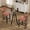 BlackOrange, variant on KATBOC Bar Set, 26 Counter Height Bar Stools Set of 4 & 31.5in Glass Bar Table, Modern Upholstered Fabric Stools, for Kitchen Island, Bar, Dining Room, BlackOrange