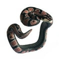 thumbnail image 2 of Hbdhejl Bracelet Jouet pour Enfants Forme Simulation Jeu Cool Décorations, 2 of 5