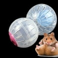 thumbnail image 3 of Pet Hamster Guinea Pig Exercise Running Ball Play Gyro Toy Plastic Funny Cp10, 3 of 5