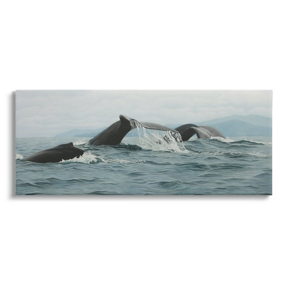 Stupell Industries Whale Tales Ocean Splash Animals & Insects Photography Gallery Wrapped Canvas Print Wall Art, 24 x 10