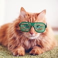 thumbnail image 3 of Walbest Cat Sunglasses, Party Shutter Shading Pet Glasses Neon Color Shutter Glasses Party Slotted Sunglasses,Retro Party Glasses,for Dogs Cat, 3 of 7