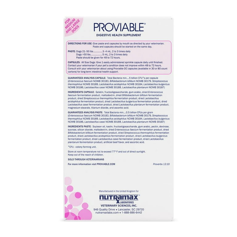 Proviable probiotic hotsell for dogs