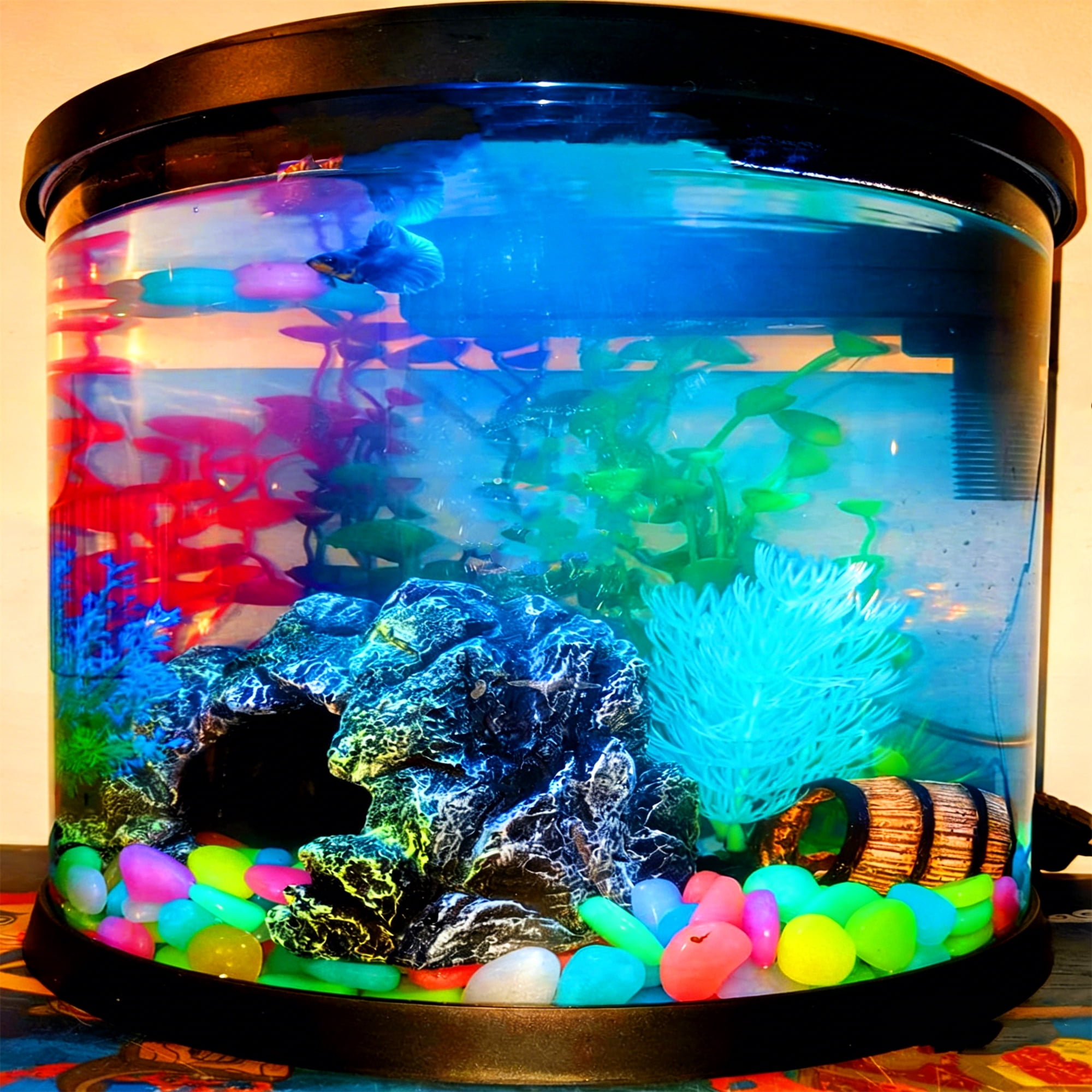 LIFEBESTONE 0.8-1.2" Big Rainbow Multicolor Glow in The Dark Rocks, Big Colored Pebbles, Aquarium Gravel, Fish Tank Gravel, Plants for Fish Tank, Glow Rocks for Landscaping 750 Pcs (5, Pounds)