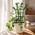 thumbnail image 5 of Fmxomd 2 Pack Trellis for Potted Plants, Easy to Install Stackable Small Plant Trellis for Indoor & Outdoor, 10.5Inch Climbing Plant Support for Pothos, Houseplants Flower, Hoya, Vine, Ivy, 5 of 9