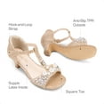 thumbnail image 6 of BURUDANI Girls Dress Sandals with Ankle Strap T-Strap Low Heel Pumps for Little & Big Kids, 6 of 6