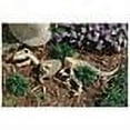 thumbnail image 2 of Design Toscano Raptor Skeleton Garden Sculpture, 2 of 2