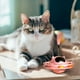 thumbnail image 3 of Great promotion! Funny Cat Educational Toy Cat UFO Tumbler Turntable Self-entertainment To Boredom With Feather Amusement Board, 3 of 4