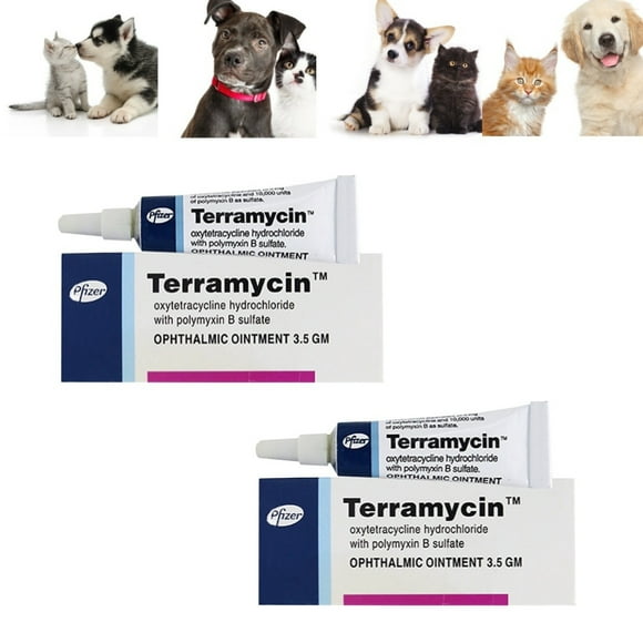 Pet Eye Health Ointment - Treats Conjunctivitis/Keratitis in Dogs & Cats | Hypoallergenic Gel for Infections | Fast-Acting 2pcs #A143