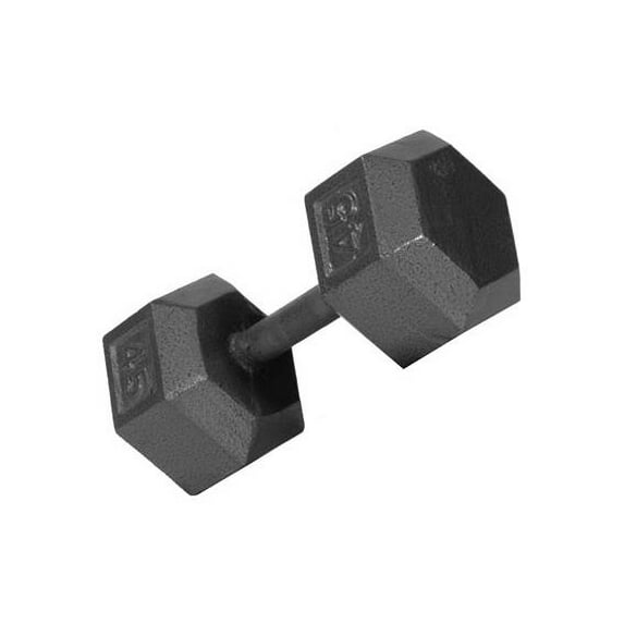 USA Sports Iron Hex Dumbbell (12 in. Dia x 12 in. H (45 lbs.))