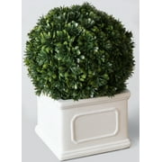 Better Homes & Gardens Artificial Boxwood Plant in White Planter 9 H
