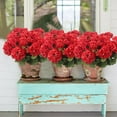 thumbnail image 5 of Morttic 4 Pcs Artificial Geraniums Silk Flowers Outdoor Artificial Red Geranium Bush Faux Flowers Red Geraniums for Floral Home Decor Outdoor Indoor Garden Patio Grave Cemetary Vase Table Centerpiece, 5 of 7