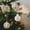 Yellow, variant on HongHeng Christmas Ball Ornaments, 3.14 inches Vintage Christmas Tree Decorations, 9 PCS Large Shatterproof Neutral Farmhouse Luxury Xmas Ornaments for Christmas Tree, Home Decor