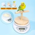 thumbnail image 5 of Bird Scale Small Animal Scale With Perch For Pet Bird High Accuracy Digita W0O2, 5 of 8