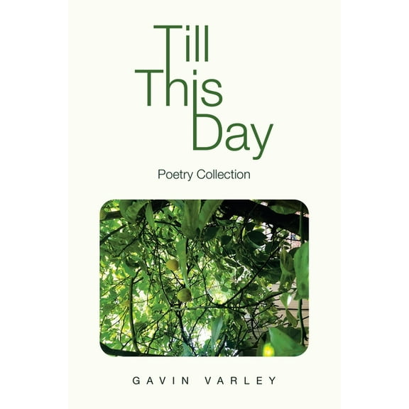 Till This Day : Poetry Collection (Paperback)