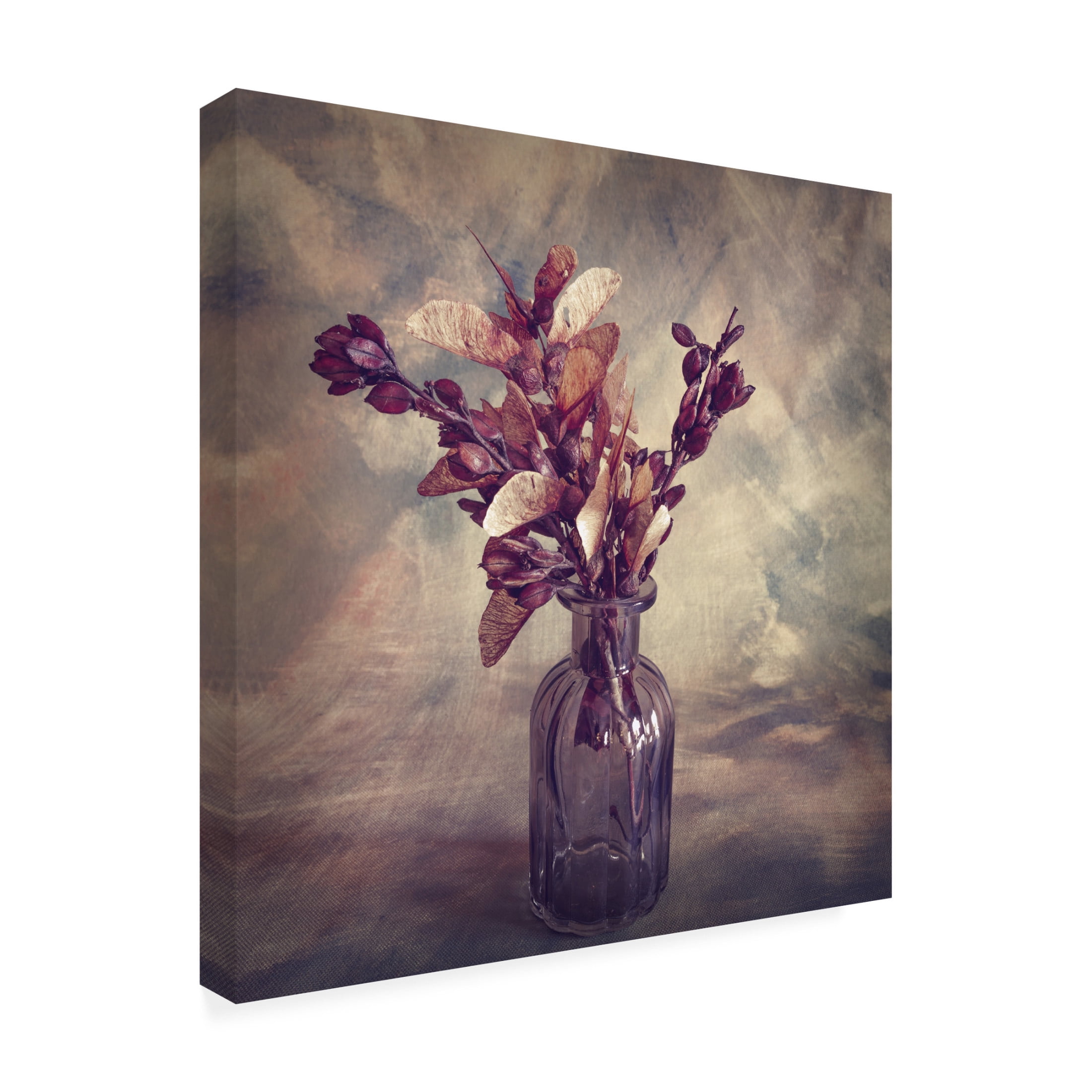 Canvas Wall Art - Cicek Kiral 'Autumn Struck' Wall Art for Living Room, Bedroom, or Office D?cor by Trademark Fine Art - 14 x 14 Inches