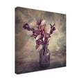 thumbnail image 3 of Canvas Wall Art - Cicek Kiral 'Autumn Struck' Wall Art for Living Room, Bedroom, or Office D?cor by Trademark Fine Art - 14 x 14 Inches, 3 of 4