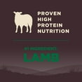 thumbnail image 6 of Wellness CORE Natural Grain Free Dry Dog Food, Lamb, 4-Pound Bag, 6 of 10