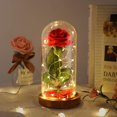 thumbnail image 1 of La bella y la bestia de Eternal Rose con luz LED en cúpula de cristal, 1 of 9