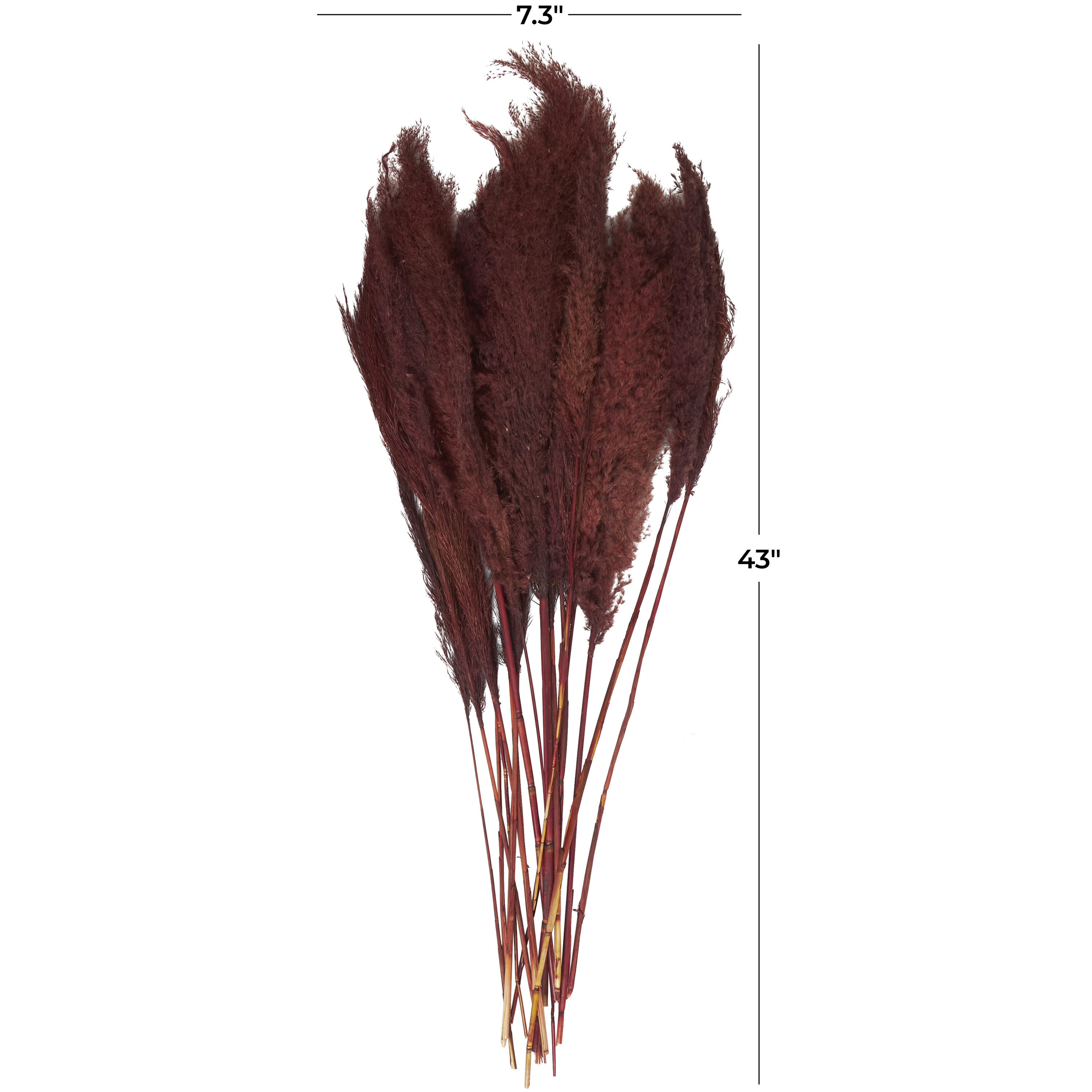 43" Dried Plant Natural Foliage Pampas Grass Bouquet with Long Stems, by DecMode