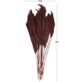 thumbnail image 3 of 43" Dried Plant Natural Foliage Pampas Grass Bouquet with Long Stems, by DecMode, 3 of 7