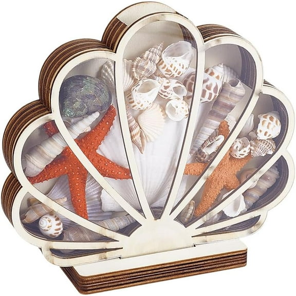 Shell Display Case 7.8x7 inch Wooden Seashell Shadow Box with Clear Window Wood Shell Holder Seashell Shaped Display Box for Coastal Beach Room Bedroom Home Vacation Decoration