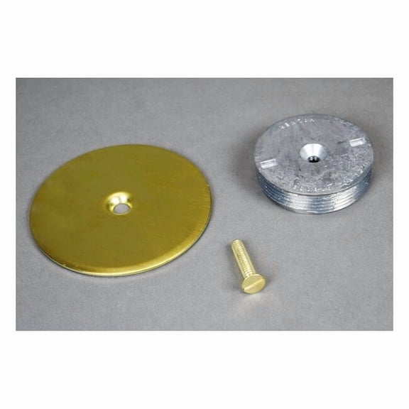 Wiremold Abandon Plate,Brown,Brass 1043B