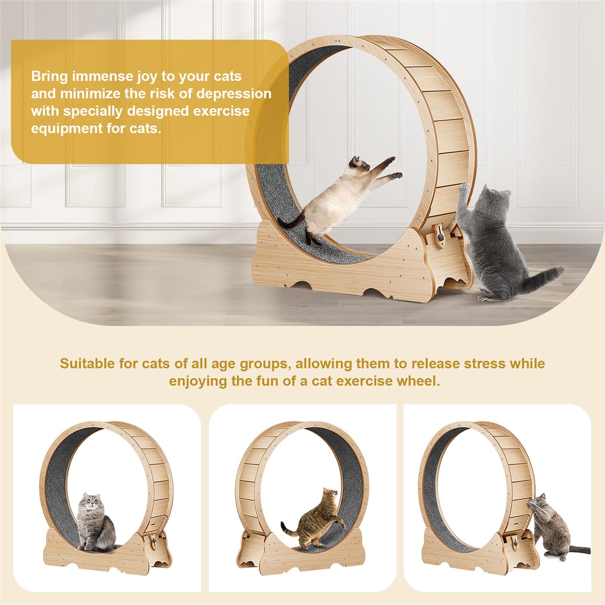 Kadyn 45" Cat Exercise Wheel for Indoor Cats, Large Cat Running Wheels, Cat Treadmill Wheel with Locking Mechanism for Cat's Healthy, Beige