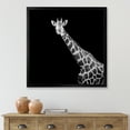 thumbnail image 3 of Designart 'Close Up Portrait Of A Giraffe On Black I' Farmhouse Framed Art Print, 3 of 4