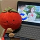 thumbnail image 5 of JELLYCAT-Muñeca de peluche de tomate divertida británica, muñeco de tomate, almohada para dormir, regalo para niñas, 5 of 5
