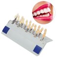 thumbnail image 5 of Guía de tonos, 29 colores Guía de tonos dentales dentales 3D Comparador de colores dentales Salida de alta intensidad, 5 of 5