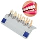 thumbnail image 5 of Guía de Sombra Dental Ticfox 3D 29 Colores, 5 of 10