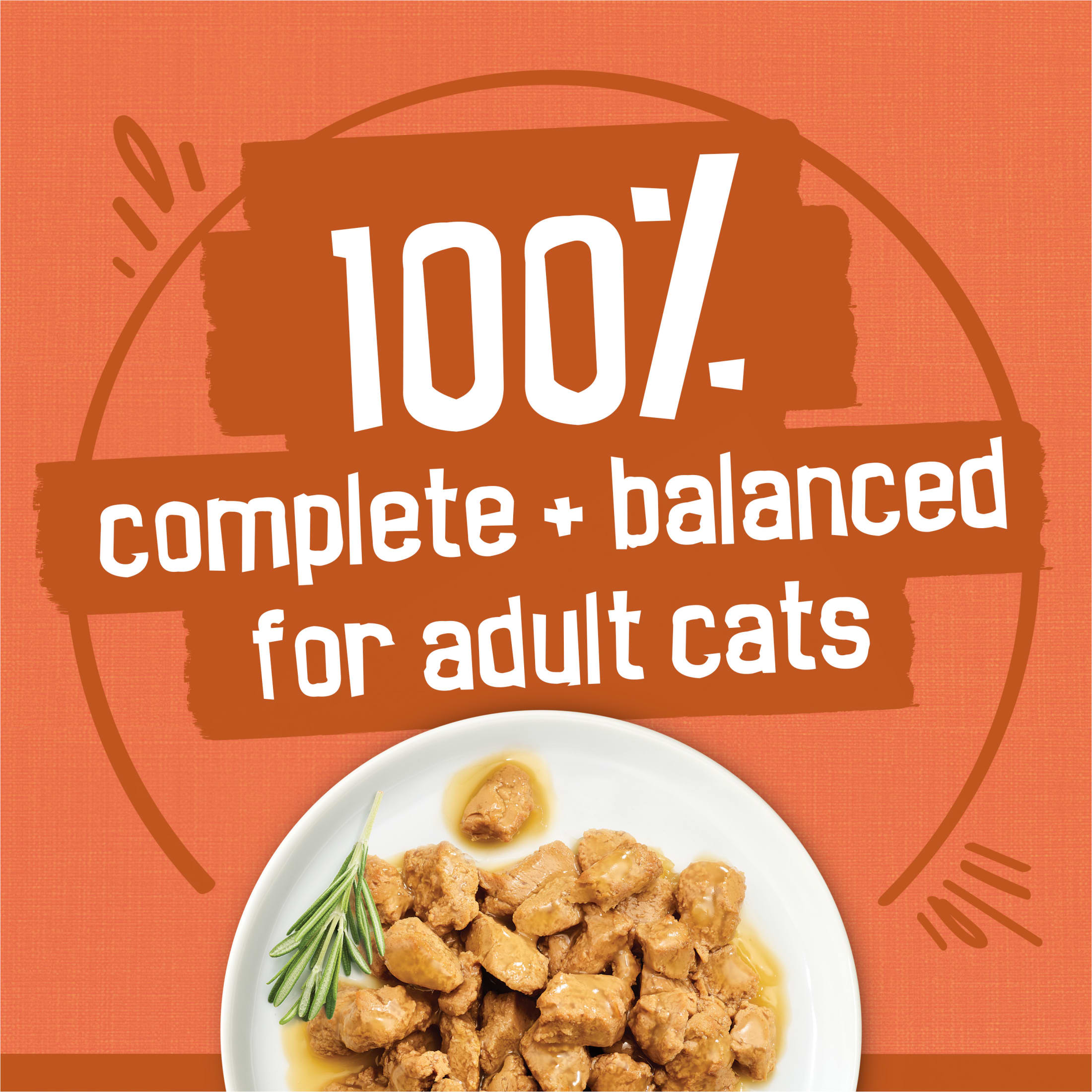 Friskies Turchicken Wet Cat Food Variety Pack, 40 Cans photo 5