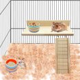 thumbnail image 2 of Labymos Cute Fruit Pattern Hamster Ceramic Food Water Snack Feeder for Pets Squirrel Guinea Pig, 2 of 7