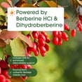 thumbnail image 5 of NatureBell Dihydroberberine with Berberine HCl - 120 Vegetarian Capsules - 500mg Dual Action Complex with GlucoVantage for High Absorption - Balanced Sugar & Heart Health Support - 60 Servings, 5 of 8