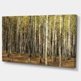 thumbnail image 2 of Forêt d'Automne Verte avec Arbres Épais - Impression sur Toile, 2 of 4