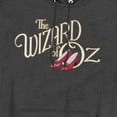 thumbnail image 2 of The Wizard of Oz Classic Logo Unisex Adult Pull-Over Heather Hoodie, Black Heather, Large, 2 of 4