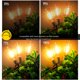 thumbnail image 2 of Cadena de luces DAMAING para exteriores, 61 m, impermeables, 104 LED, vintage, 2 of 8