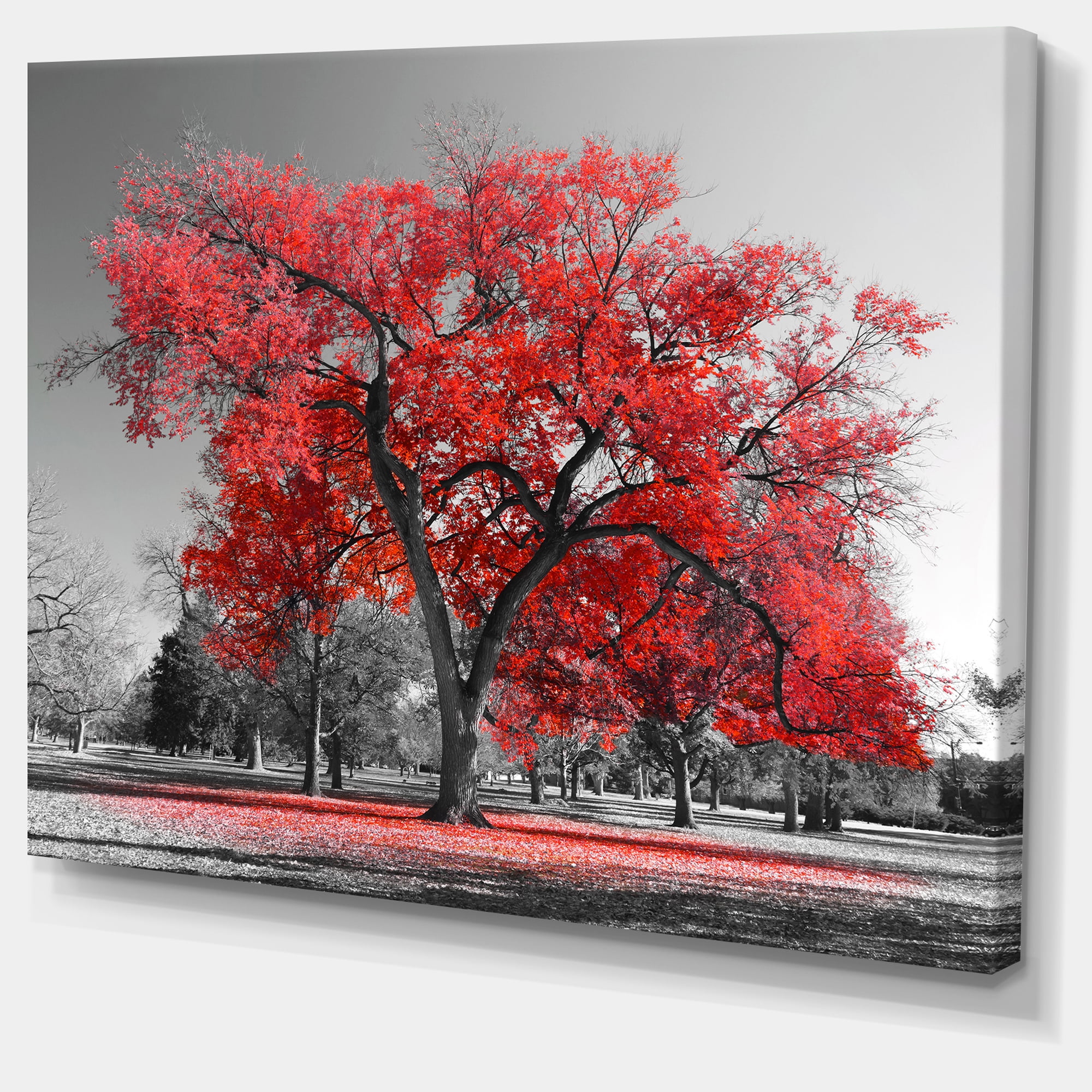 Designart 'Big Red Tree on Foggy Day ' Landscape Canvas Art Print