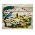thumbnail image 3 of Designart 'Yellow and Blue Bird In The Wild' Traditional Print on Natural Pine Wood, 3 of 5