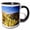 Black/White, variant on 3drose, Usa, California, Joshua Tree National Park - Us05 Rdu0004 - Richard Duval, 11oz Magic Transforming Mug