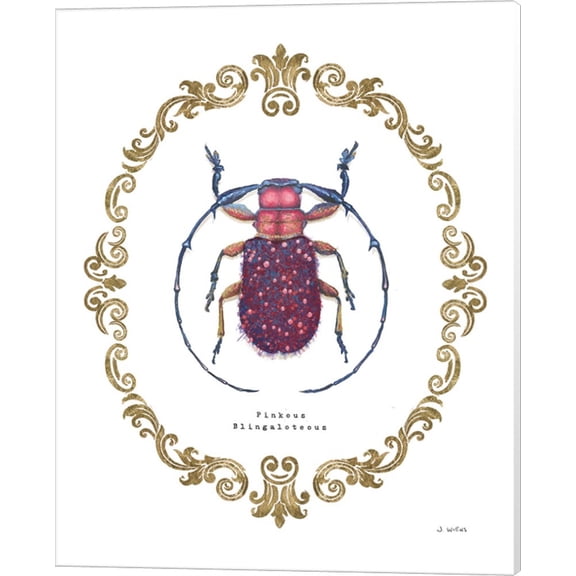 Adorning Coleoptera II by James Wiens, Canvas Wall Art, 16W x 20H