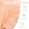 thumbnail image 3 of Ostrich Feather Duster 12 Inch Feather Duster Fluffy Natural Ostrich Feathers with Wooden Handle Ostrich Feather Duster for Cleaning Supplies(Champagne), 3 of 10