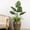 C, variant on Outdoor Table Decor,Outdoor Faux Plants,Indoor Courtyard Decorative,30IN Artificial Turtle Back Leaf Plants - Premium Realistic Faux Greenery with Pots, Tropical Indoor Outdoor Decor(B)