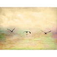 thumbnail image 3 of Mabat, Ynon 14x12 Black Modern Framed Museum Art Print Titled - Seagulls in the Sky I, 3 of 5
