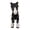 Black, variant on Dserhfy 3D Printed Horse Ornament Simulation Pony Fidget Toy with Movable Joints Articulated Animal Model Educational Toy Home Office Decoration