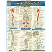 BarCharts- Inc. Anatomy 2